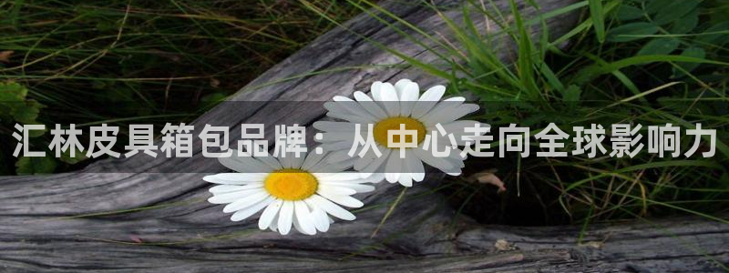 琳琅娱乐主管是谁