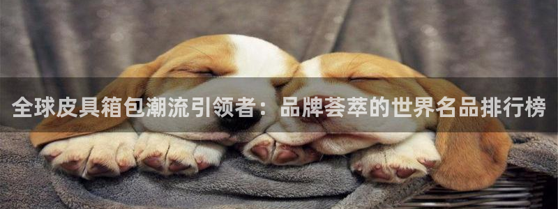 琳琅娱乐场所