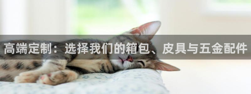 琳琅娱乐总代