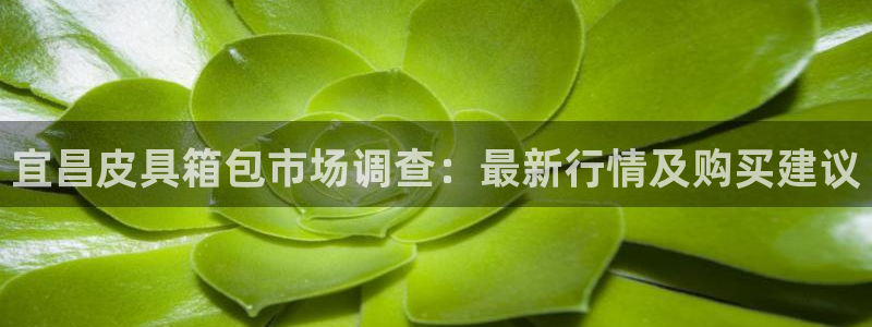 琳琅科技娱乐机器