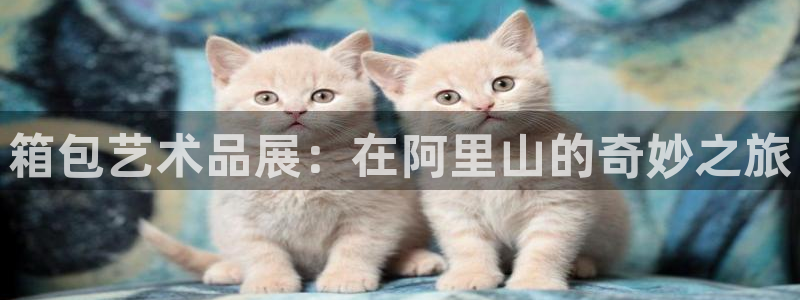 琳琅娱乐平台怎么样啊