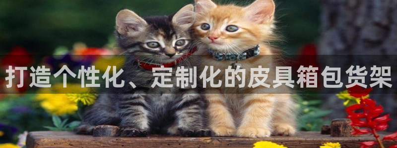 琳琅偏爱娱乐