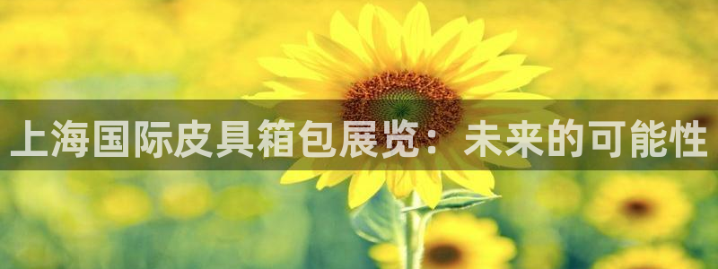 琳琅科技娱乐机器人