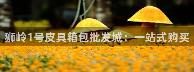 琳琅谈娱乐