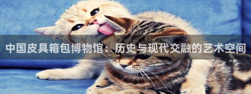 琳琅娱乐领先33300