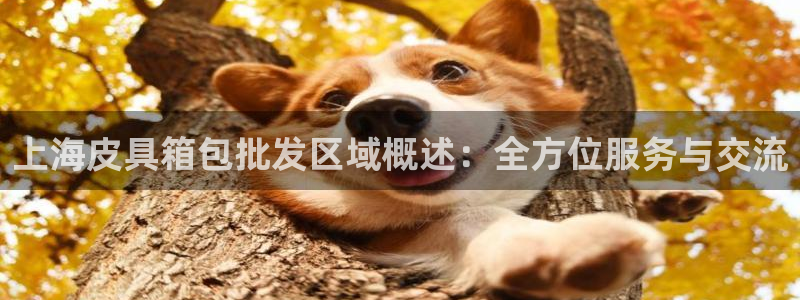 杭州琳琅互动娱乐