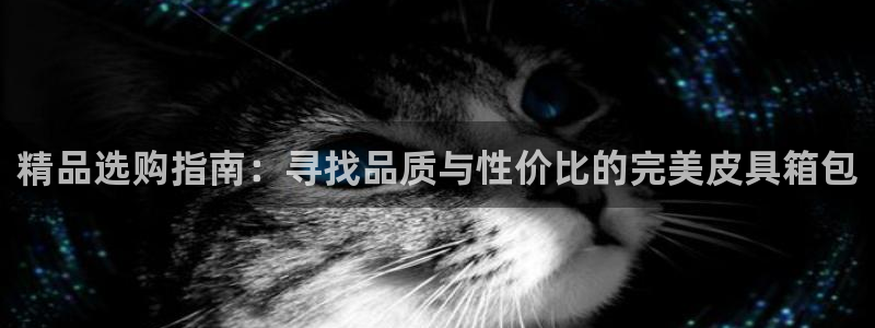 琳琅娱乐怎么样
