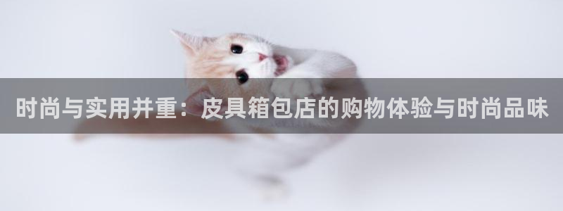 琳琅游戏娱乐