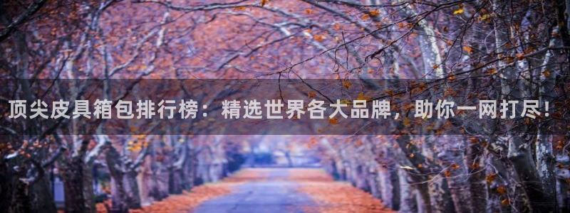 琳琅娱乐工作室招聘信息