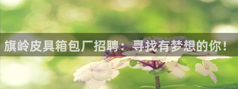 琳琅娱乐 全麦优质