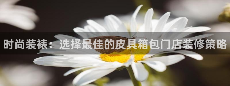琳琅娱乐工作室怎么样啊