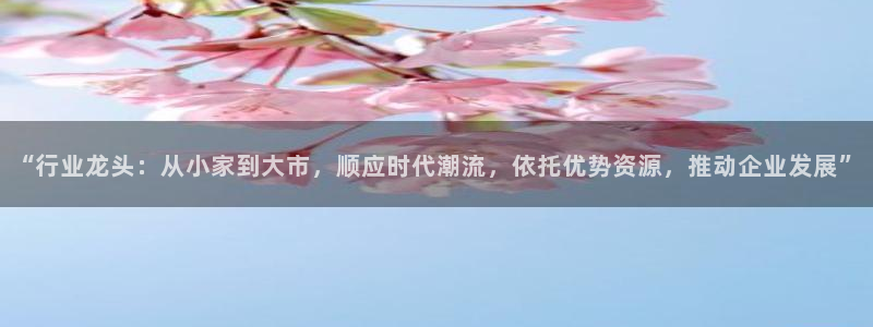 琳琅娱乐导航