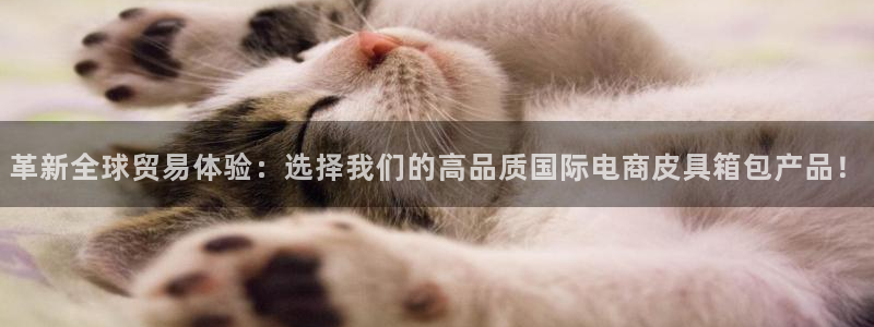 琳琅娱乐黑钱