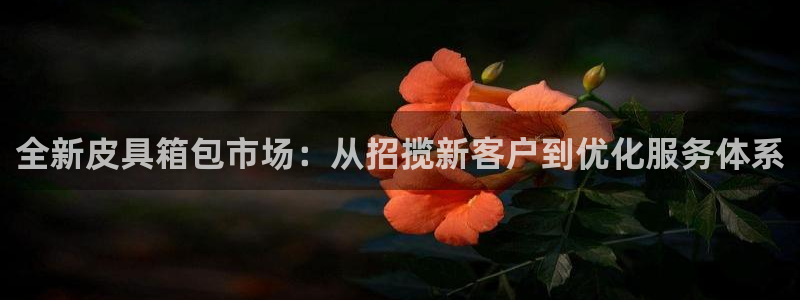 琳琅娱乐工作室招聘条件