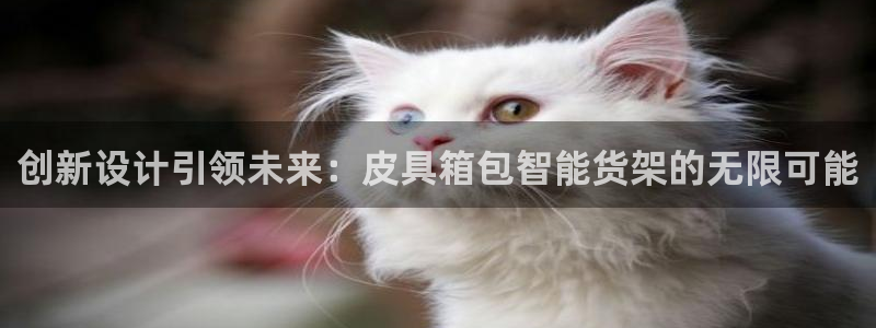 琳琅娱乐在哪直播的