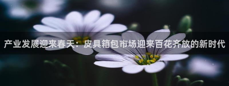 琳琅国际娱乐会所