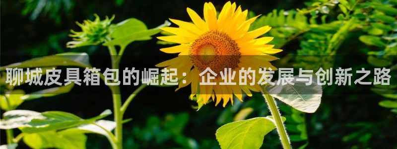 琳琅娱乐平台帐7O777