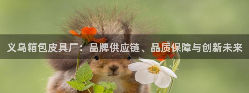 琳琅娱乐平台登陆