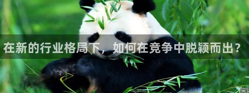 琳琅科技娱乐机器