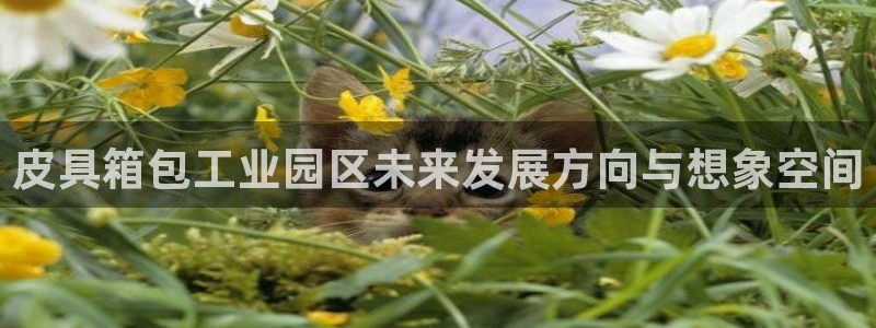 琳琅QQ娱乐机器人
