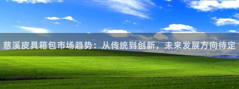 娱乐从琳琅榜开始的小说