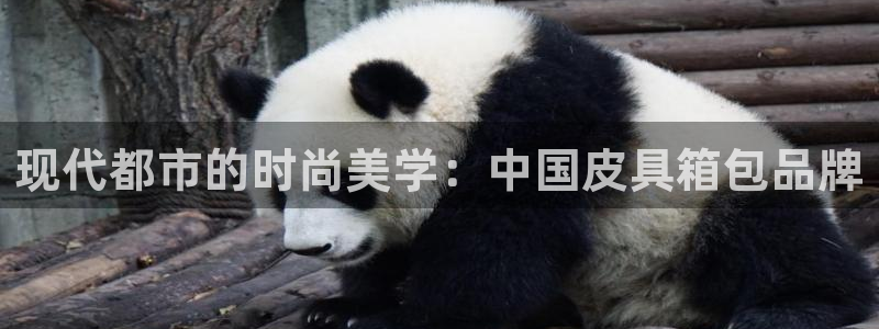 琳琅科技qq娱乐机器人