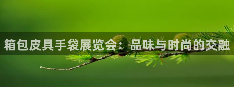 琳琅娱乐代理