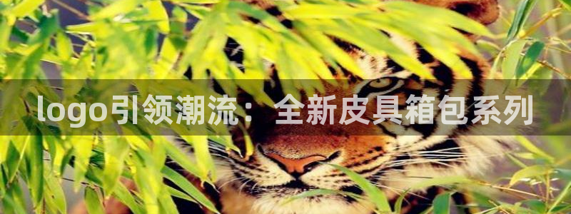 琳琅娱乐招商注册