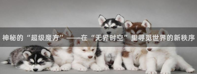琳琅娱乐场所
