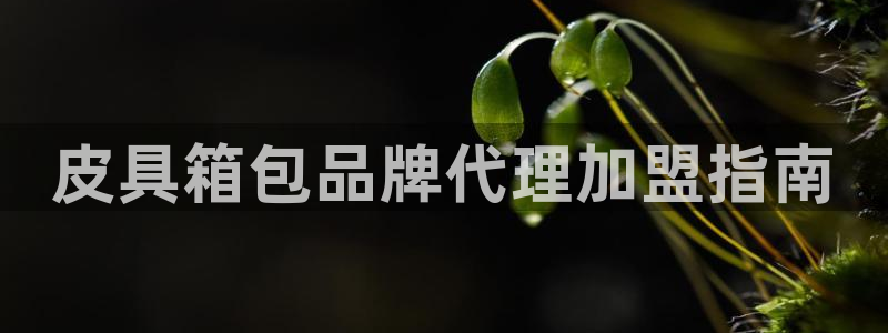 梧州琳琅娱乐城