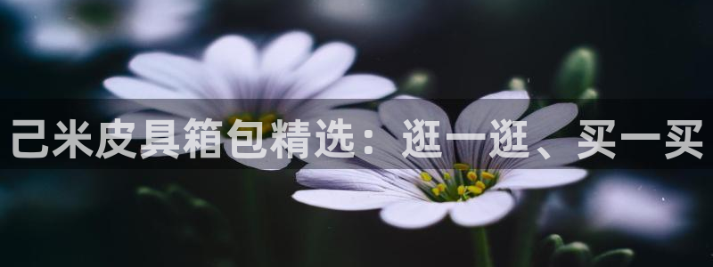 琳琅娱乐招商