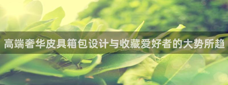 琅琳琅娱乐