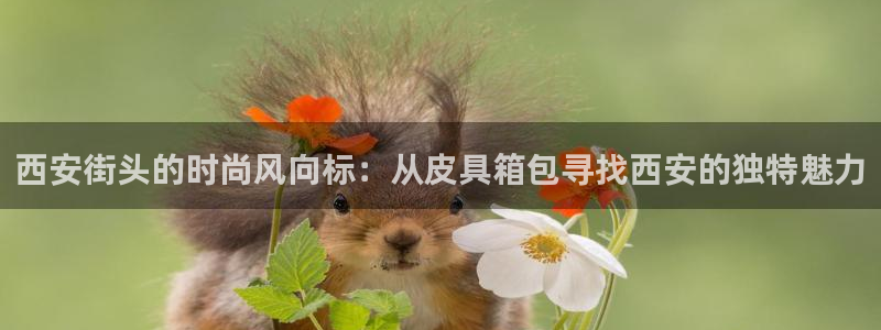 琳琅科技娱乐机器