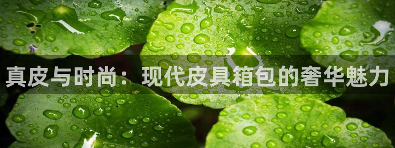 琳琅娱乐登入