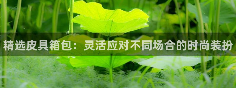琳琅娱乐代理怎么做的