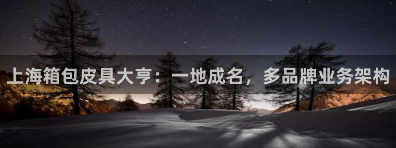 琳琅娱乐代理怎么做的