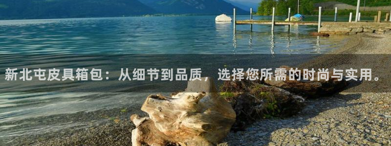 祖龙娱乐官网爱在琳琅