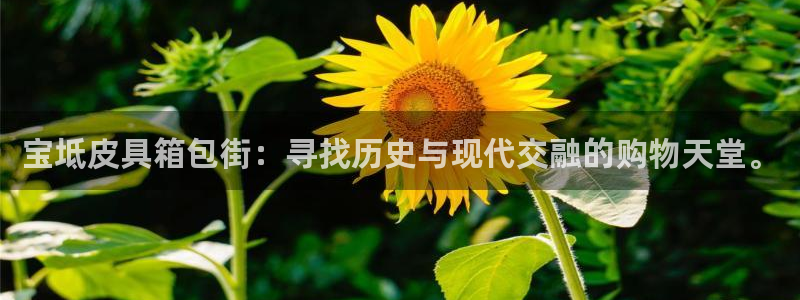 琳琅娱乐周7O777