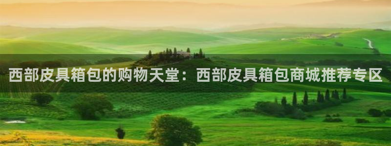 琳琅娱乐招商