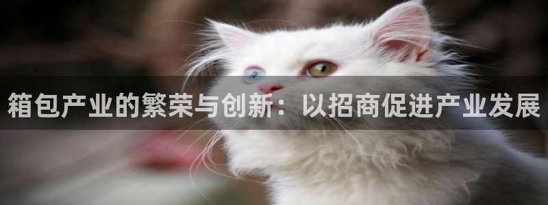 琳琅娱乐总代