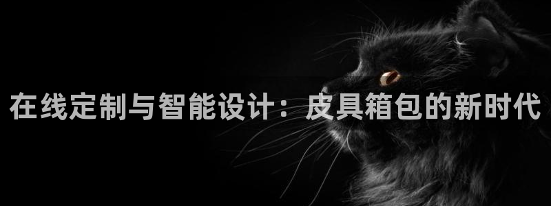 琳琅娱乐工作室怎么样啊