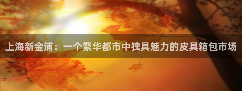 琳琅娱乐是什么