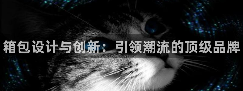 琳琅娱乐工作室怎么样啊