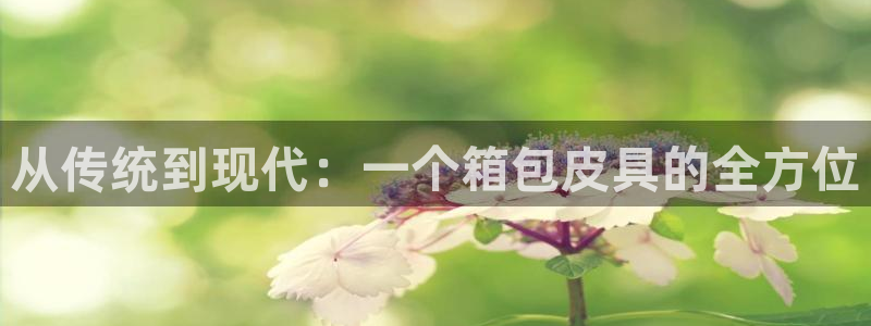 琳琅娱乐600