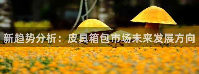 琳琅娱乐