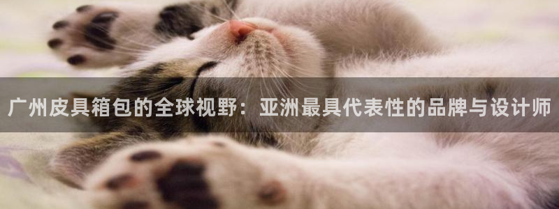 琳琅说娱乐