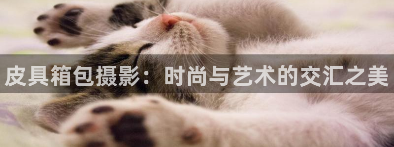 琳琅娱乐登入官网