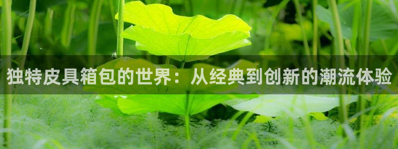 琳琅娱乐场所在哪里