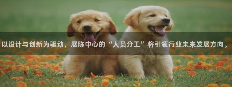 琳琅聊娱乐
