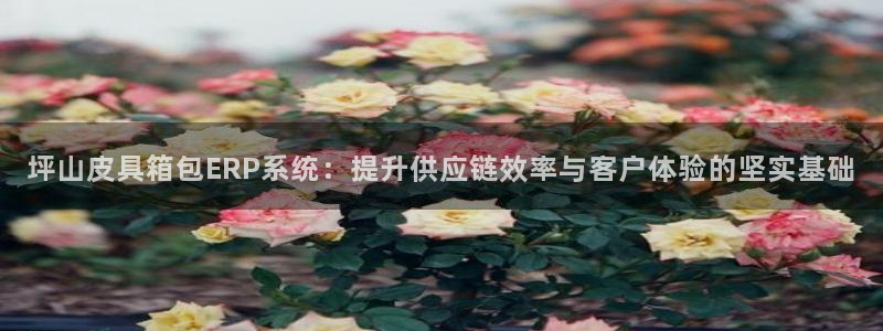 qq琳琅科技娱乐机器人